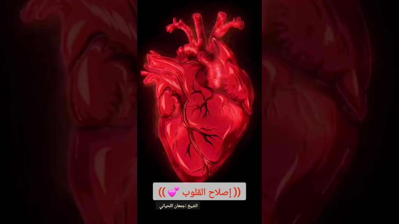 إصلاح القلوب 💕 