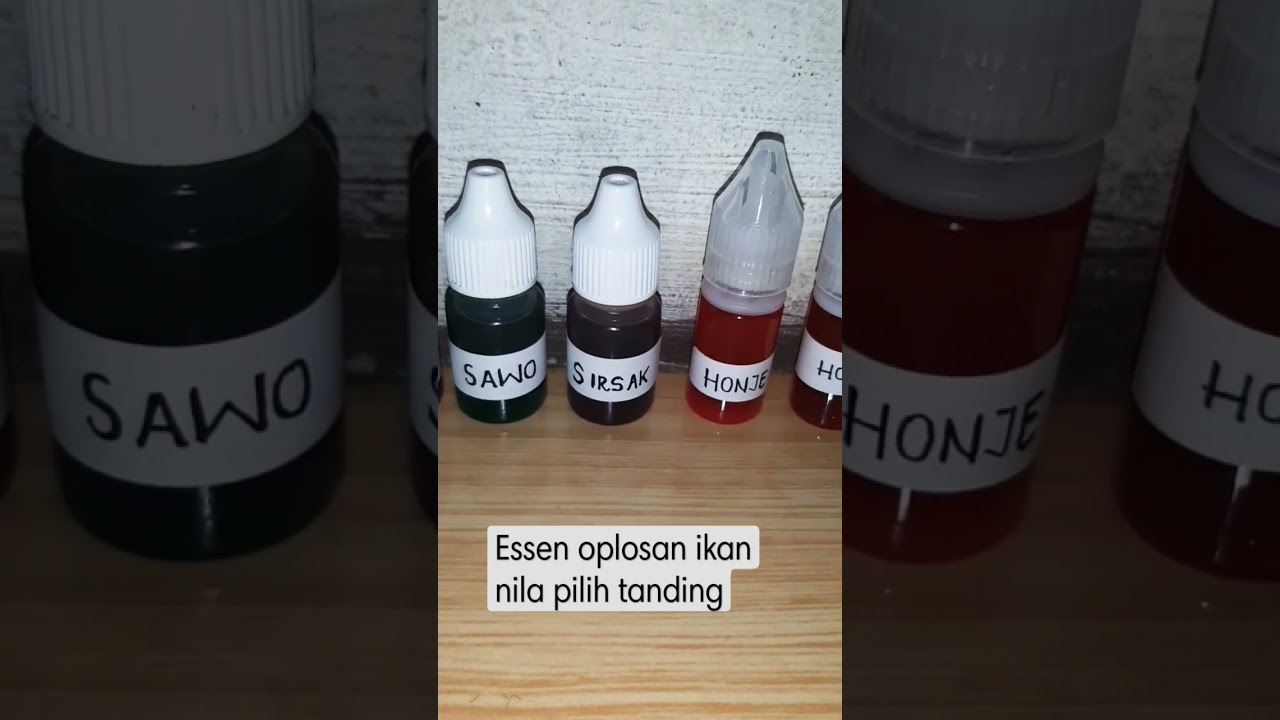 Essen Oplosan Nila Pilih Tanding