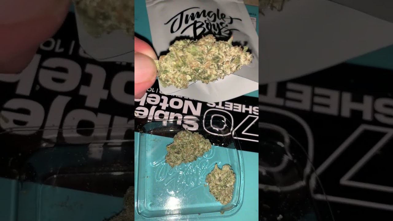 Jungle boys (L.A kush cake)30%thc 3% terps 🔥 🌲