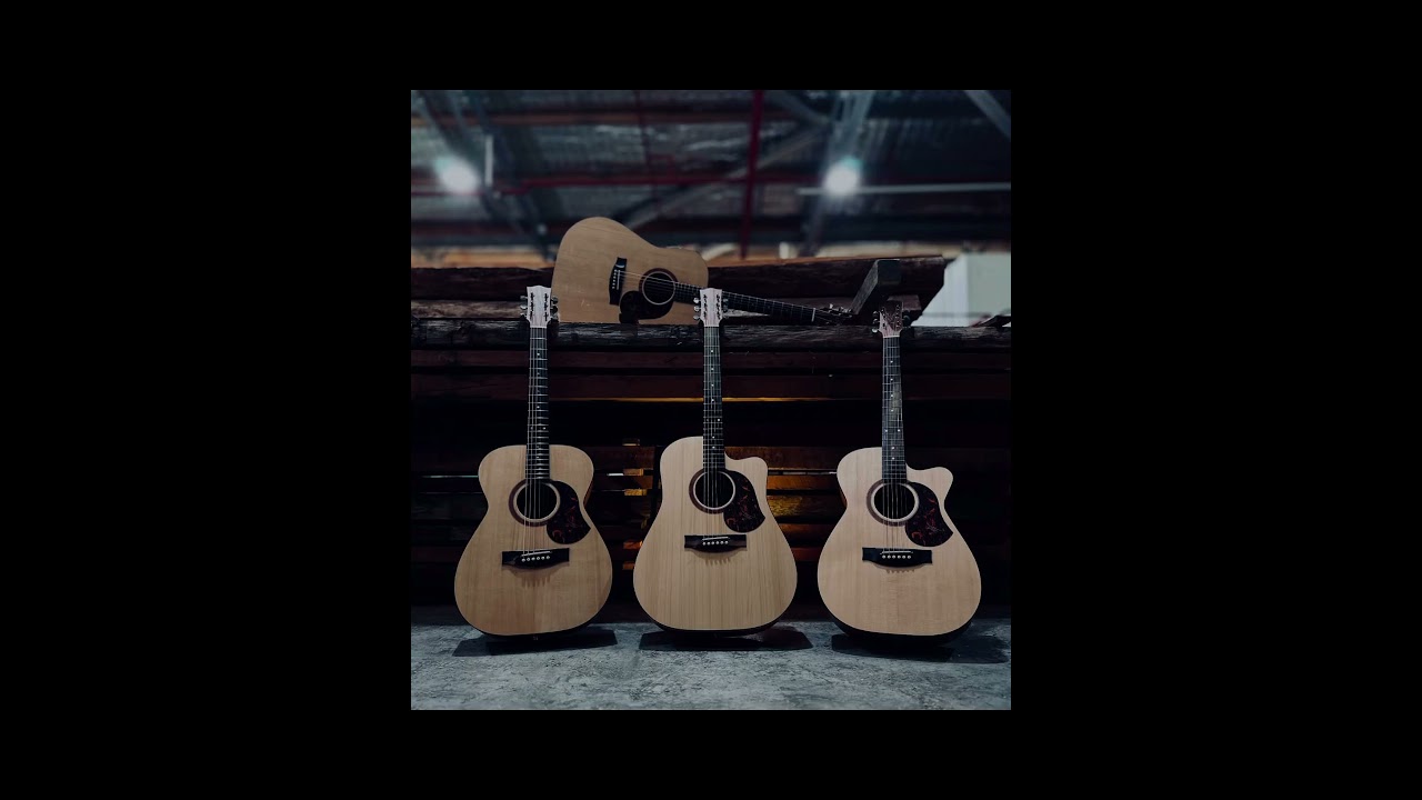 POV : when u open a guitarist gallery #guitar #acousticguitar #guitarlovers
