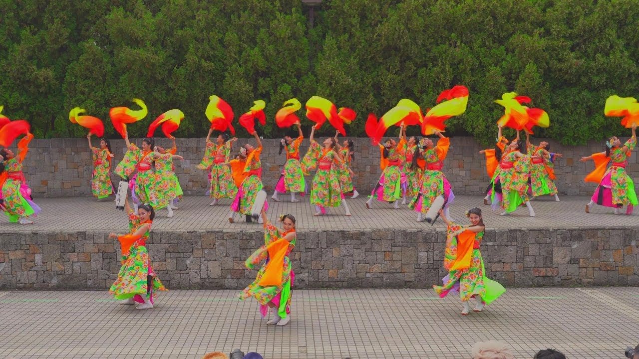 疾風乱舞 | 舞音 | 2019大江戸ソーラン祭り大賞演舞（優美）4K