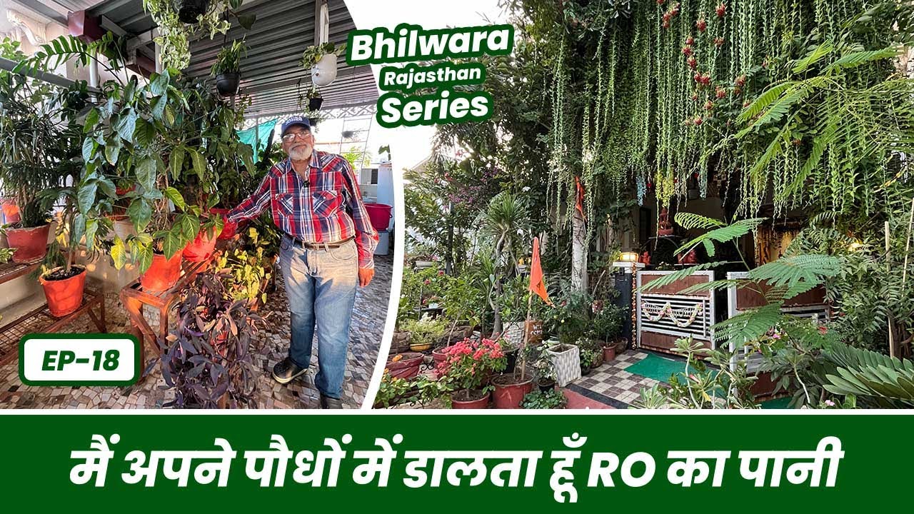 1000 से ज़्यादा पौधों में डालता हूँ RO का पानी 💦 RO Watering on Plants 😱🪴 Bhilwara Series EP-17