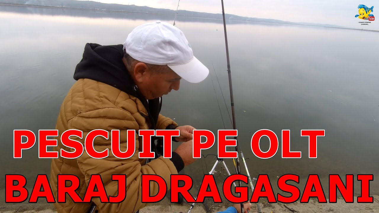 CARASEI PE OLT LA BARAJ DRAGASANI - MAMALIGA CU PUFIC DE USTUROI