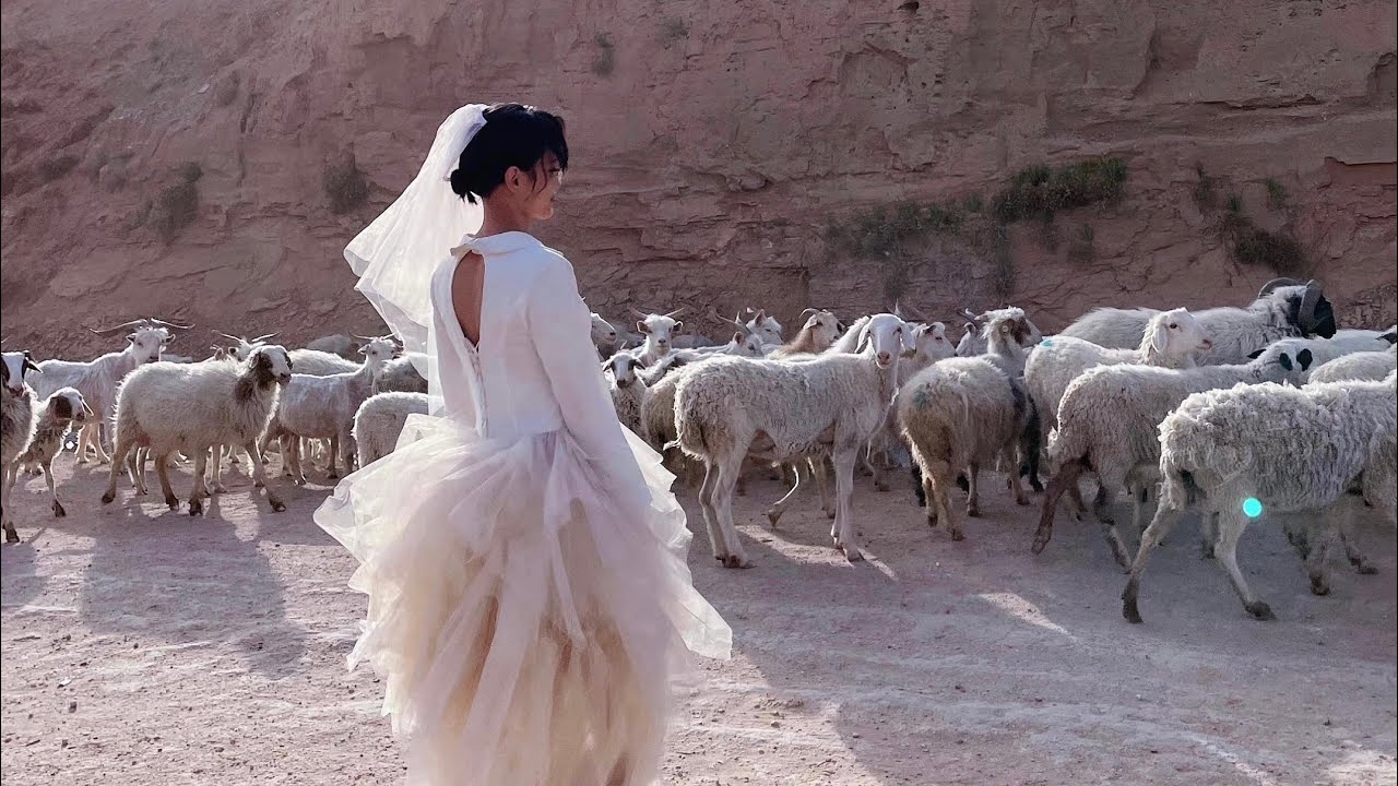 【演员】屈菁菁｜大西北打工人的一天