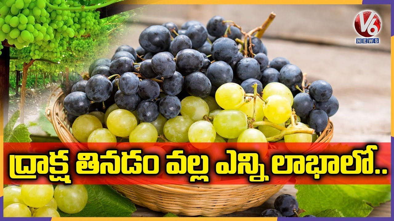 Health Benefits Of Grapes | Super Foods | V6 News