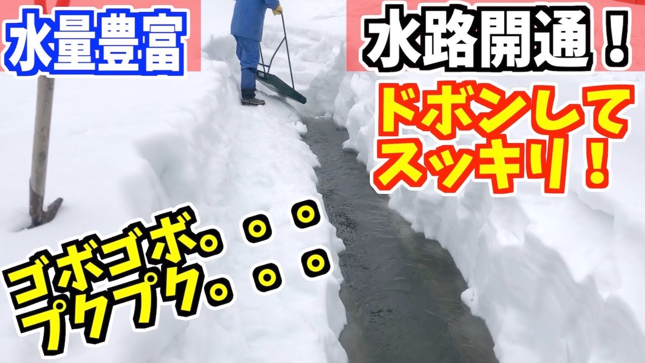 2023-01-15 除雪　水路掘出し！開通！全部雪で覆われて危険だから吉鉄でドボン２。