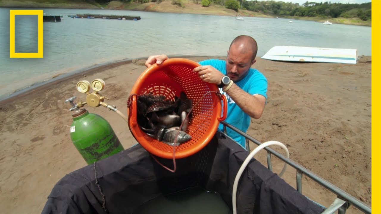 Getting Fishy | Doomsday Preppers