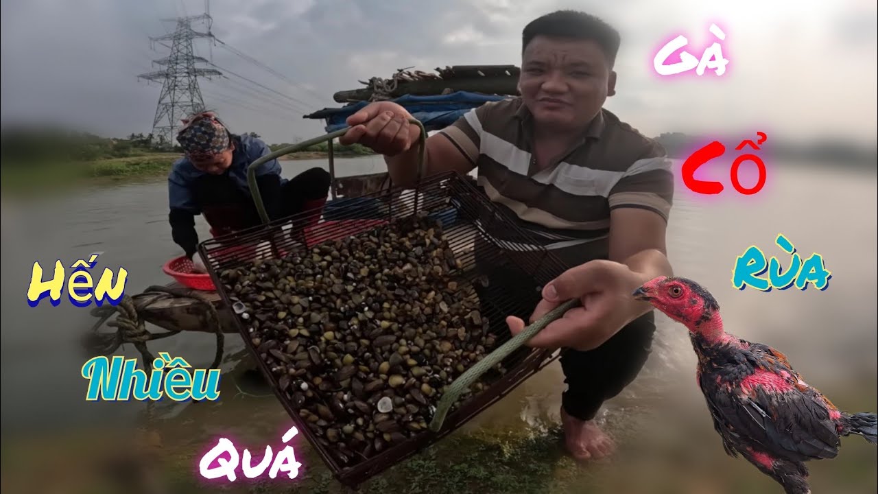 Được Tặng Gà Cổ Rùa Và Bố - Mẹ Nay Cào Hến Được Nhiều Quá  /Nhân Bé Nhỏ 