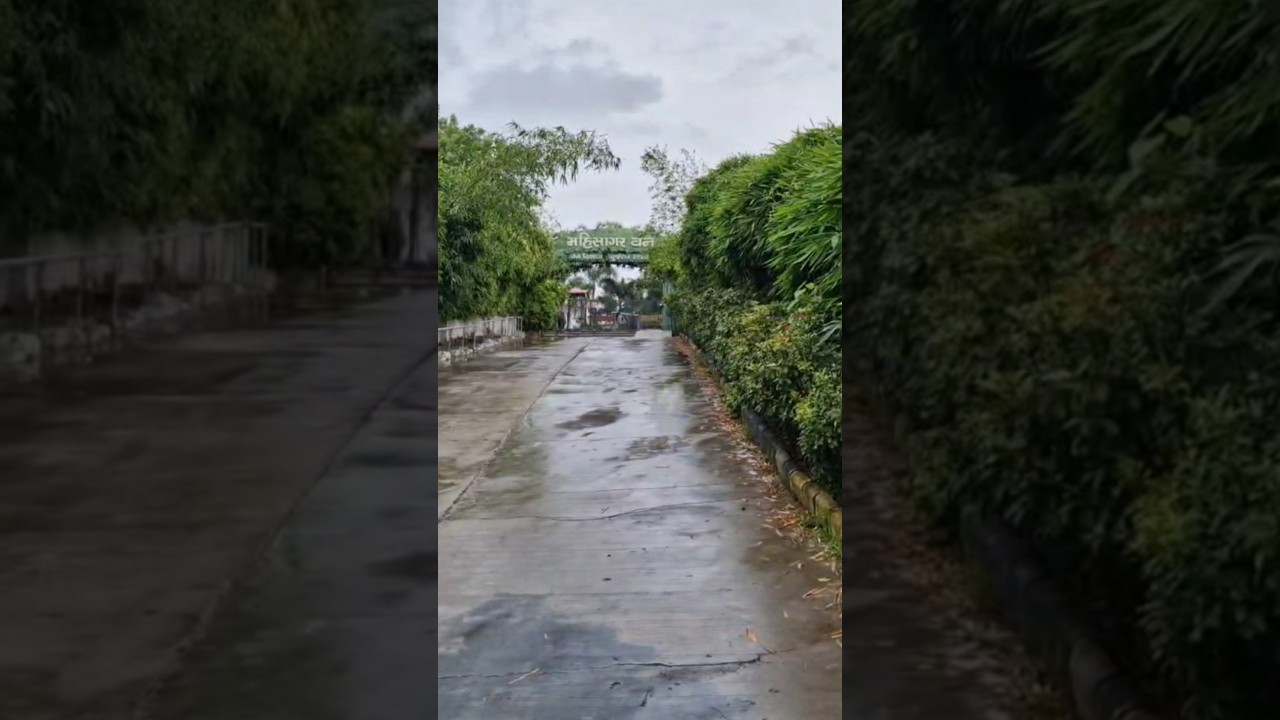 Mahisagar Van And Lake at Top 🌊