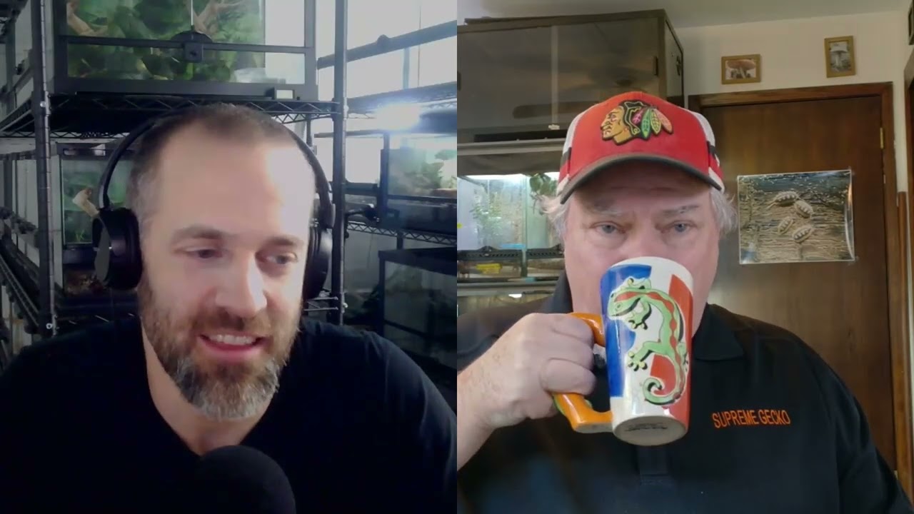 Episode 20: Supreme Gecko
