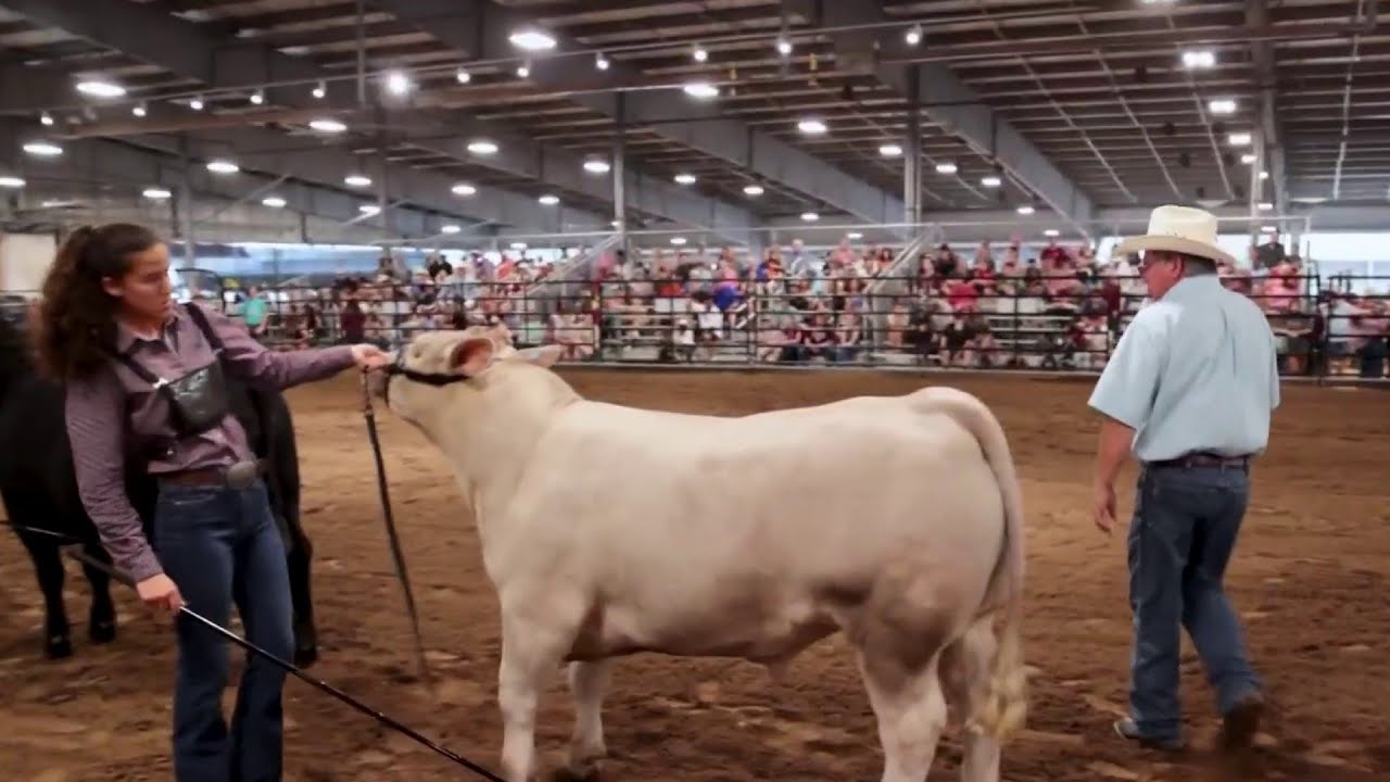 Fort Bend County Fair & Rodeo kicks off with 2024 Championship BBQ Cookoff!