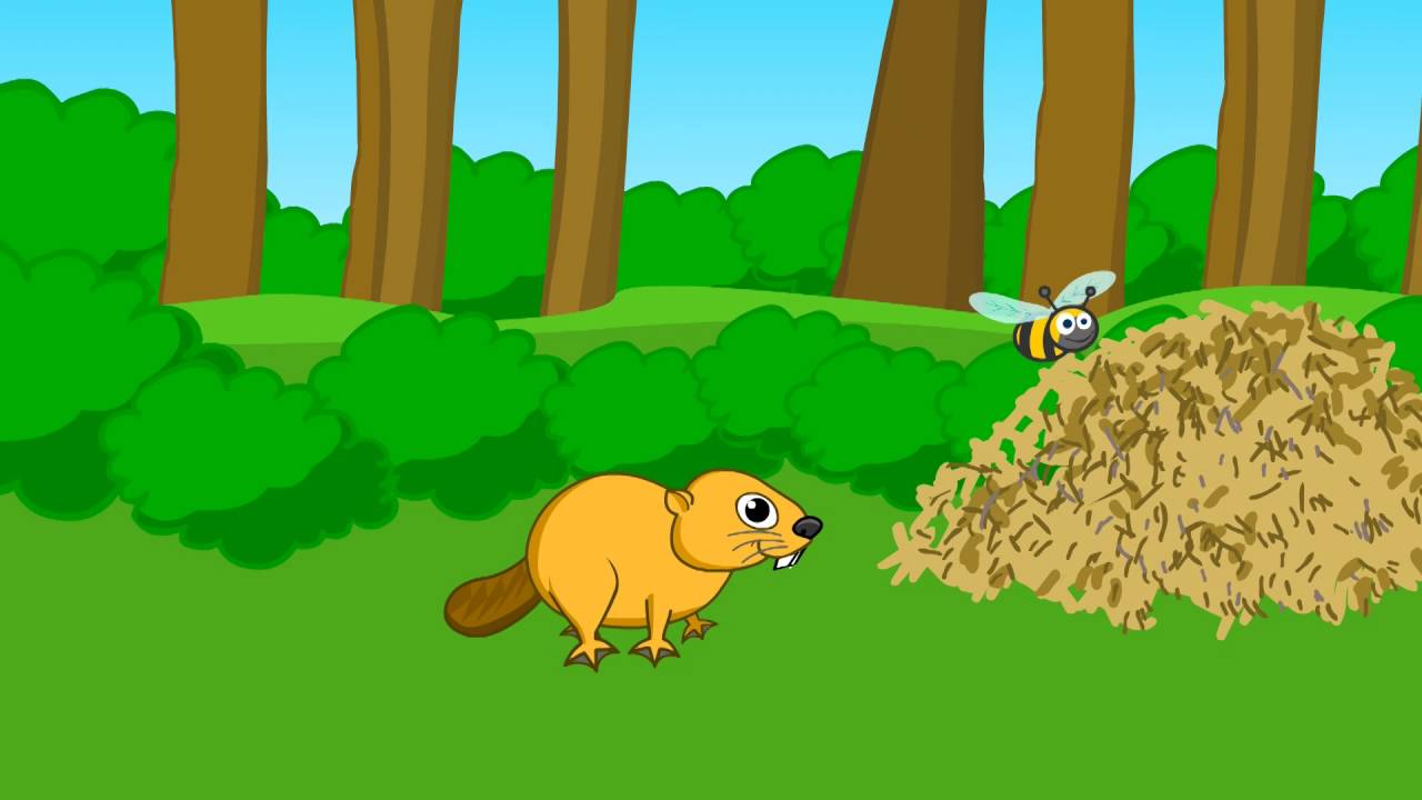 Beaver Family | 25 | ducktv favorites | ducktv