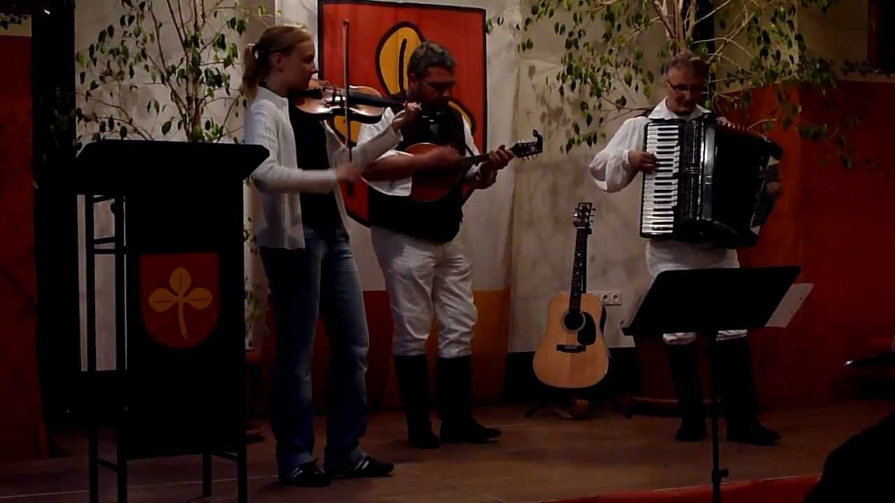Danzdeel Band