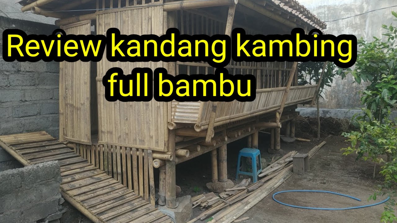 Review kandang kambing full bambu