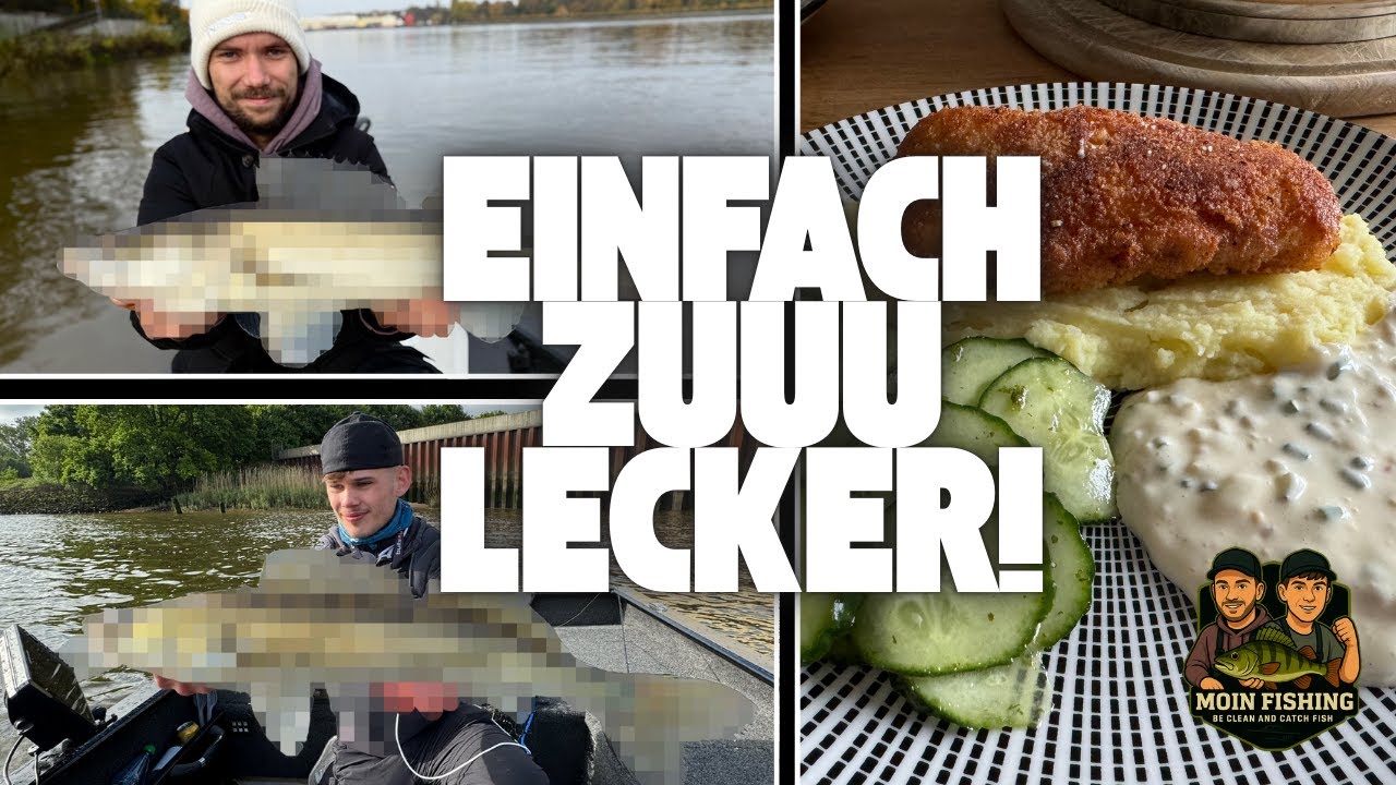 Zander Catch & Cook🔪🔥 – Das habt ihr so noch NIE gegessen!