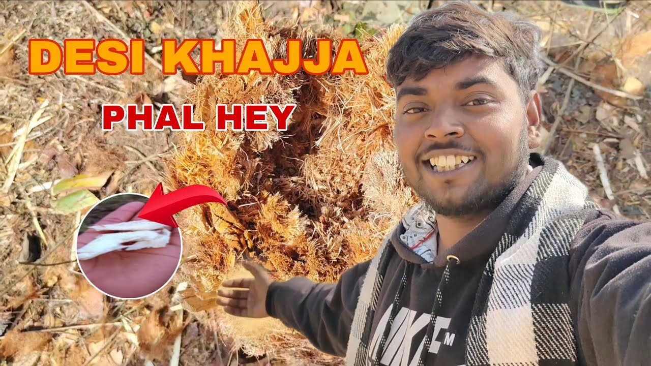DESI KHAJJA PHAL HEY☺️