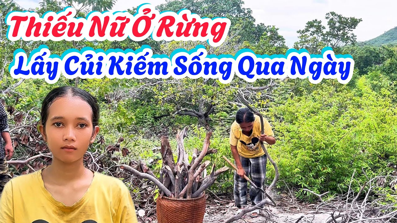 Thiếu Nữ Xinh Đẹp Mưu Sinh Ở Rừng. Vất Vả Quanh Năm Vẫn Không Đủ Ăn. | 678