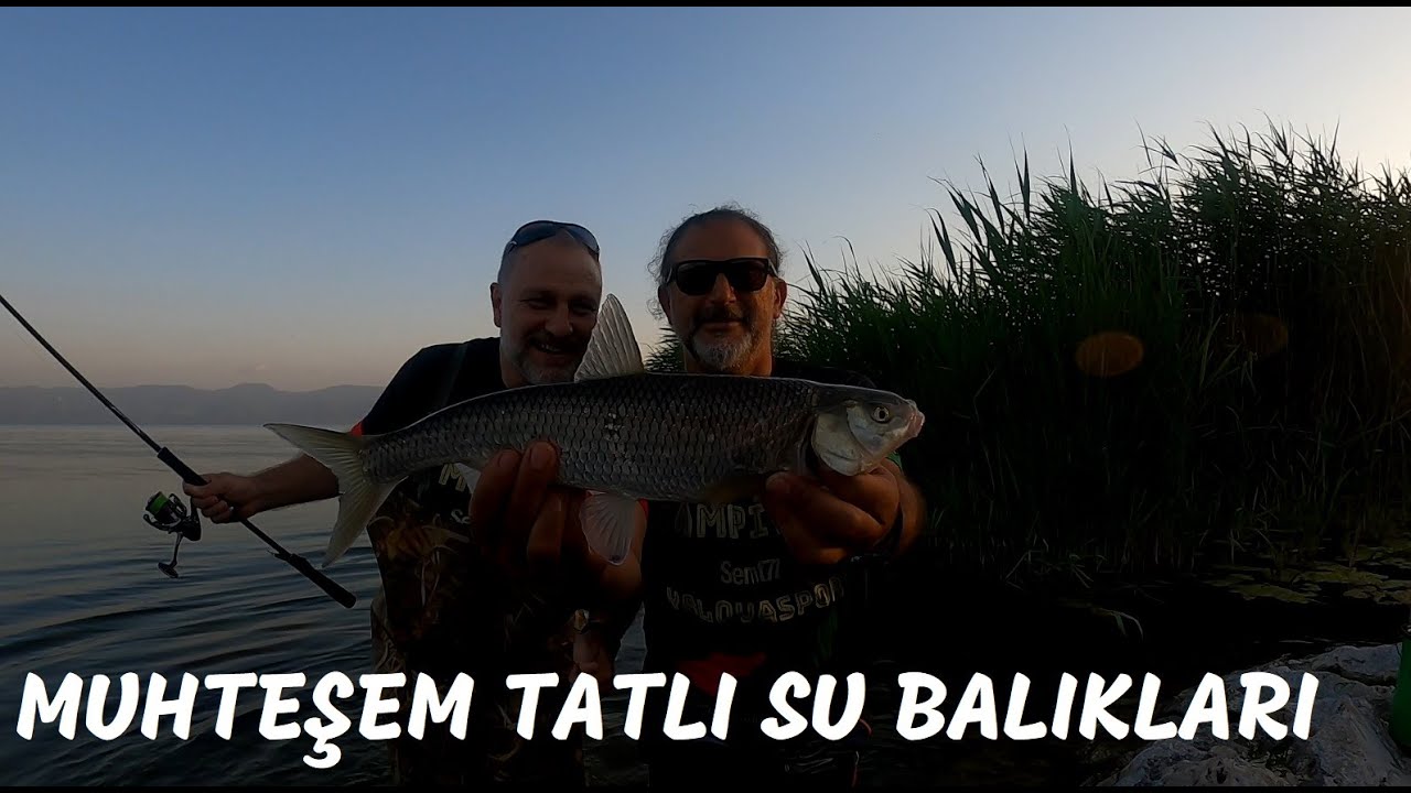 İZNİK GÖLÜNÜN İÇİNE GİRİP KOCAMAN BALIKLAR YAKALDIK ve PİŞİRİP AFİYETLE YEDİK