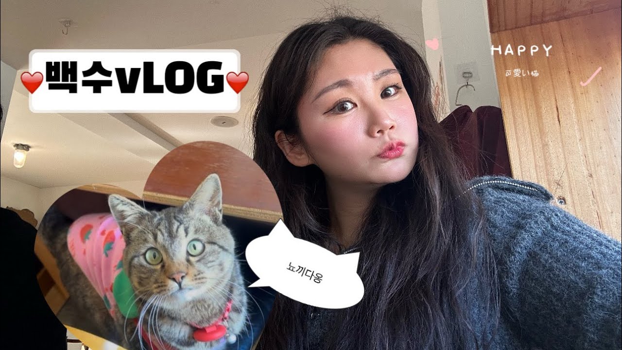 30대 중반 첫 와인혼술, 3주년 기념파티하고 사진찍고 고양이 사장님도보고 일주일 마무리 하는 일상