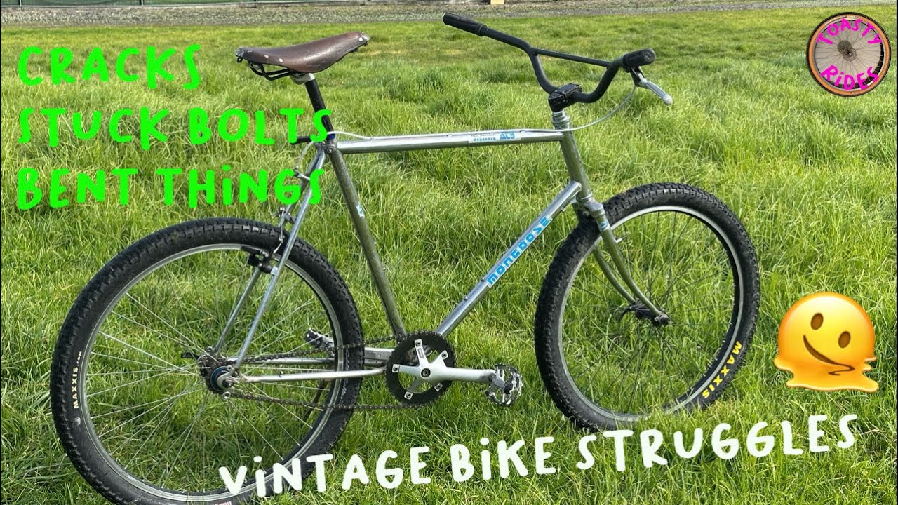 A fun Mongoose ATB build