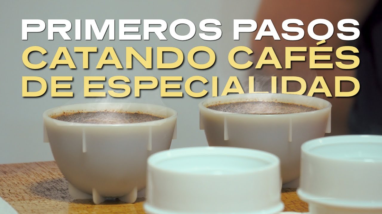 Transforma tu Paladar: Los secretos de la Cataci&oacute;n de Caf&eacute;