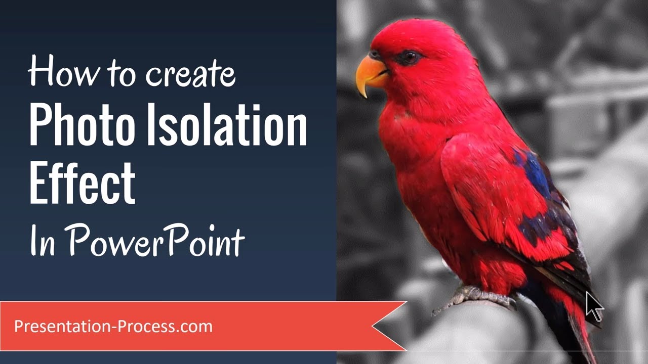 How to create Photo Isolation Effect In PowerPoint