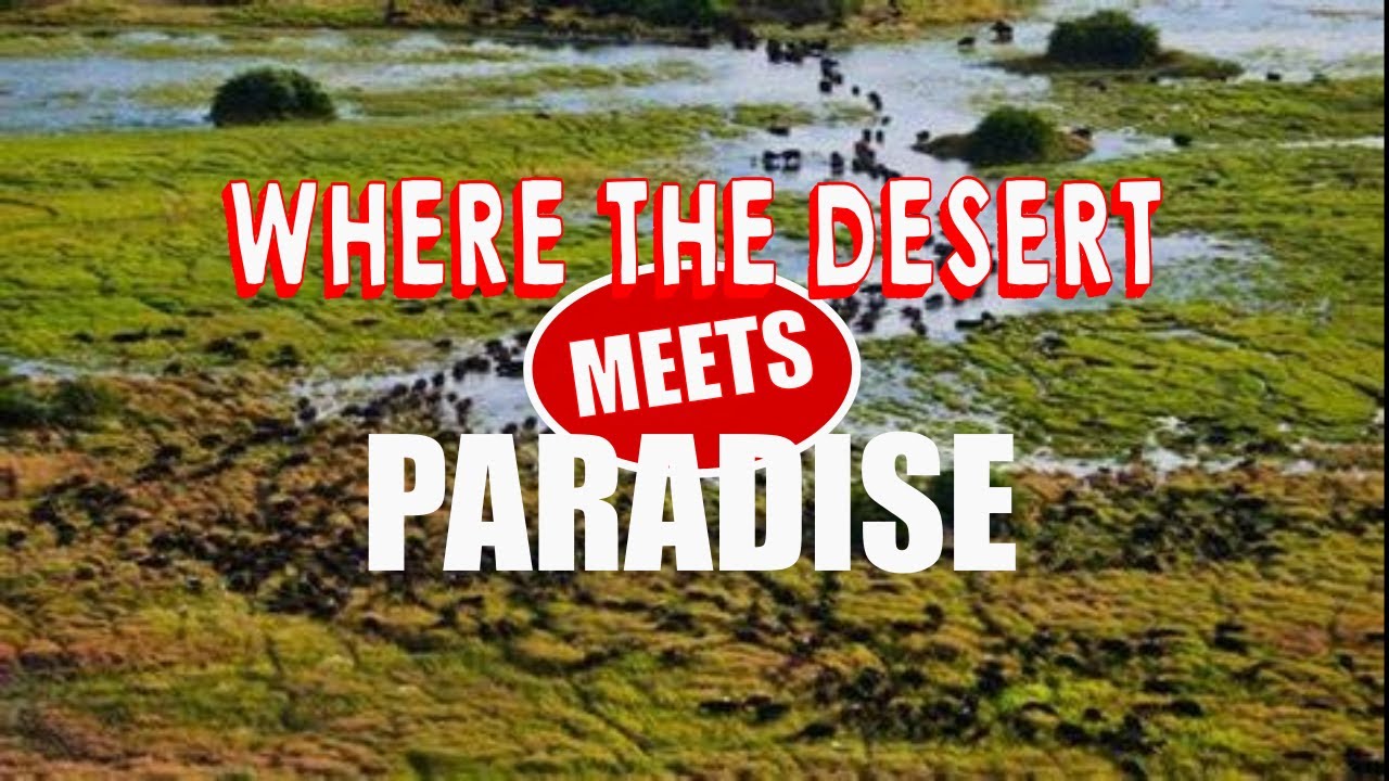 Okavango Delta: A Jewel in the Kalahari Desert