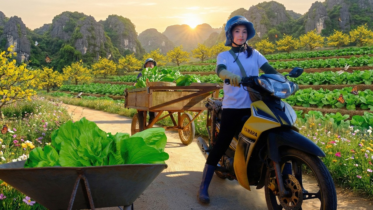 Harvest A Cart Of Mustard Greens Go To The Market To Sell – A Young Girl Lives Alone On Her Farm