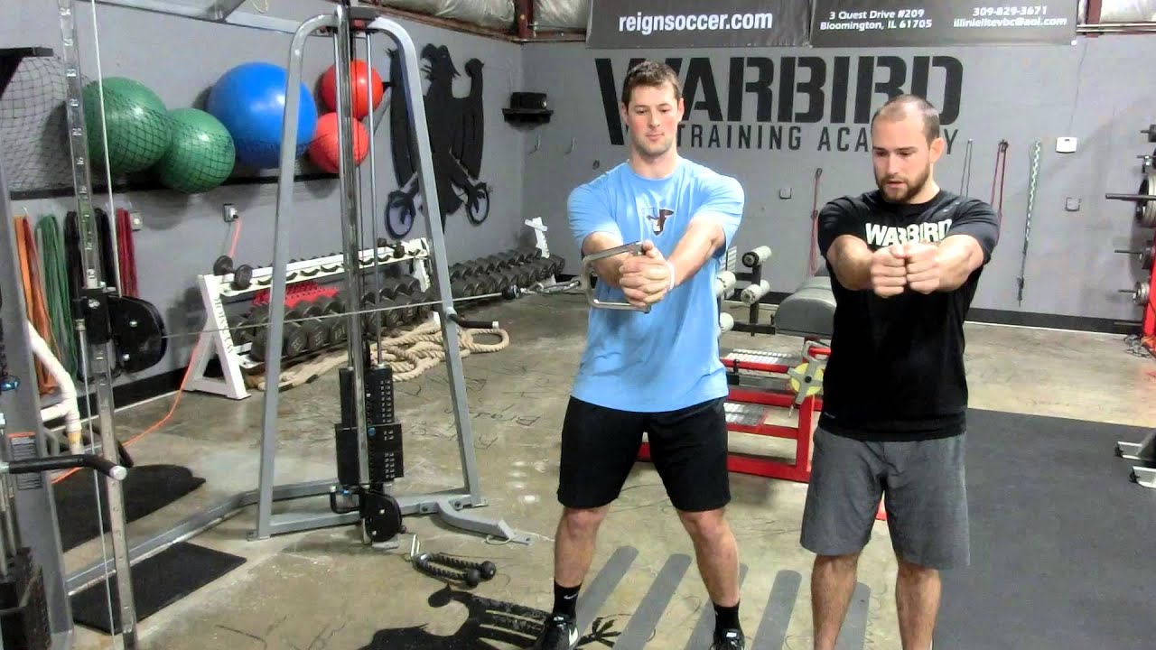 Cable Pallof Press