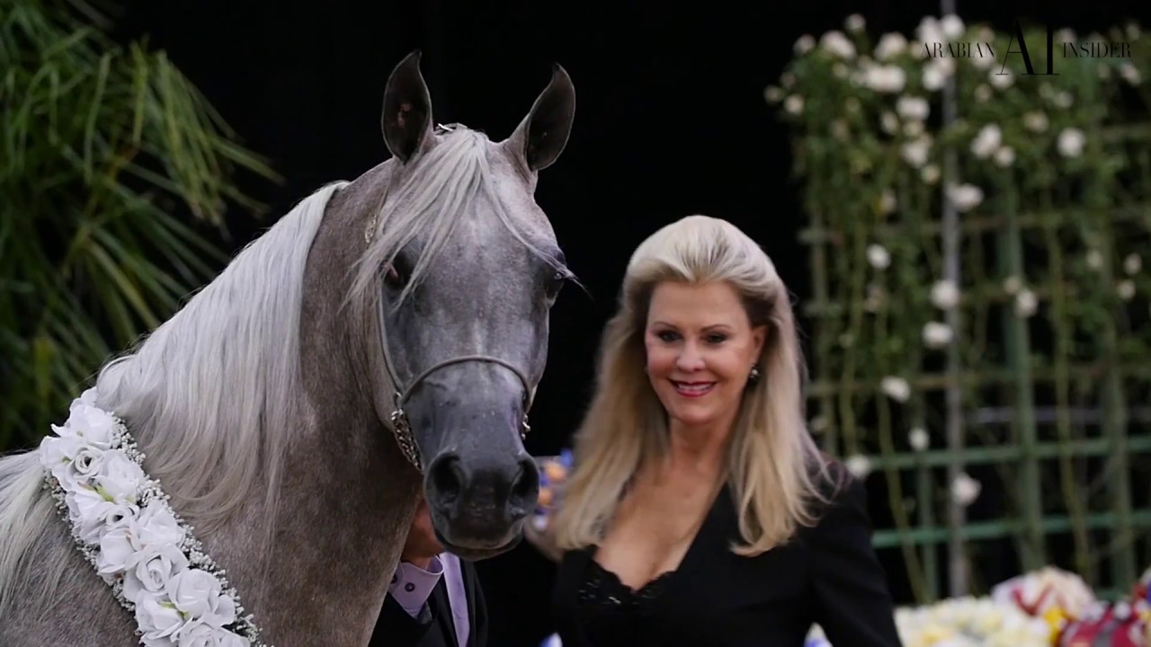 LAS VEGAS 2017 | ARABIAN INSIDER | #EPISODE 01