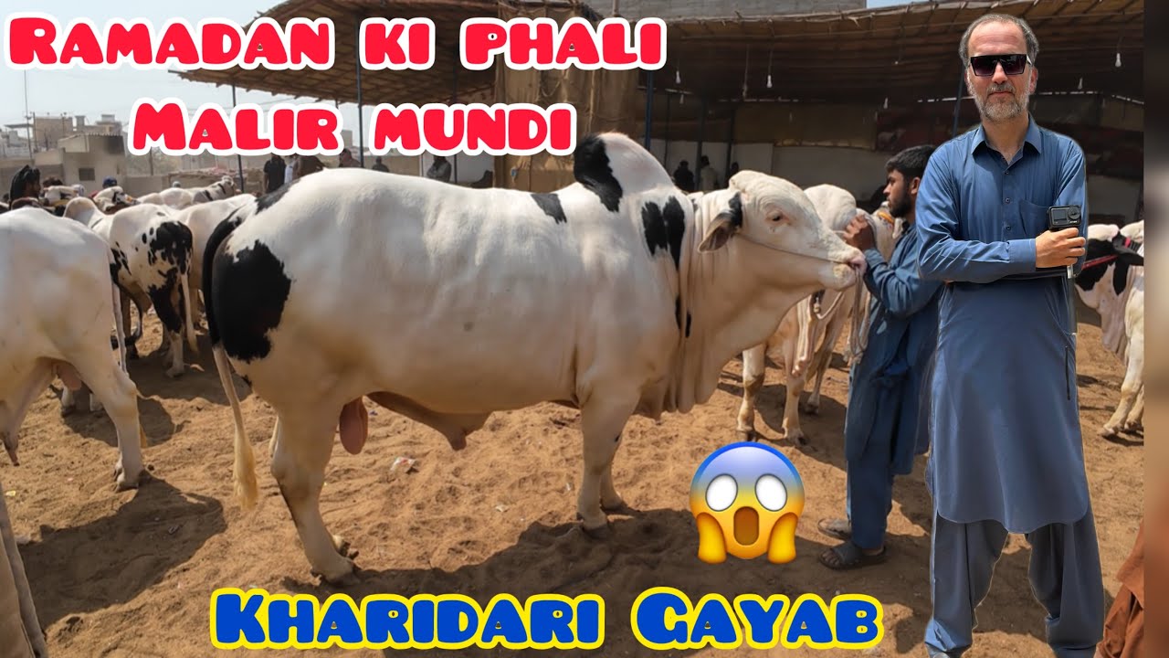 Ramadan Ki Phali Malir Mundi Or Kharidari He Nhi Aya / Qurbani Season 2026 / Malir Mundi Updates 