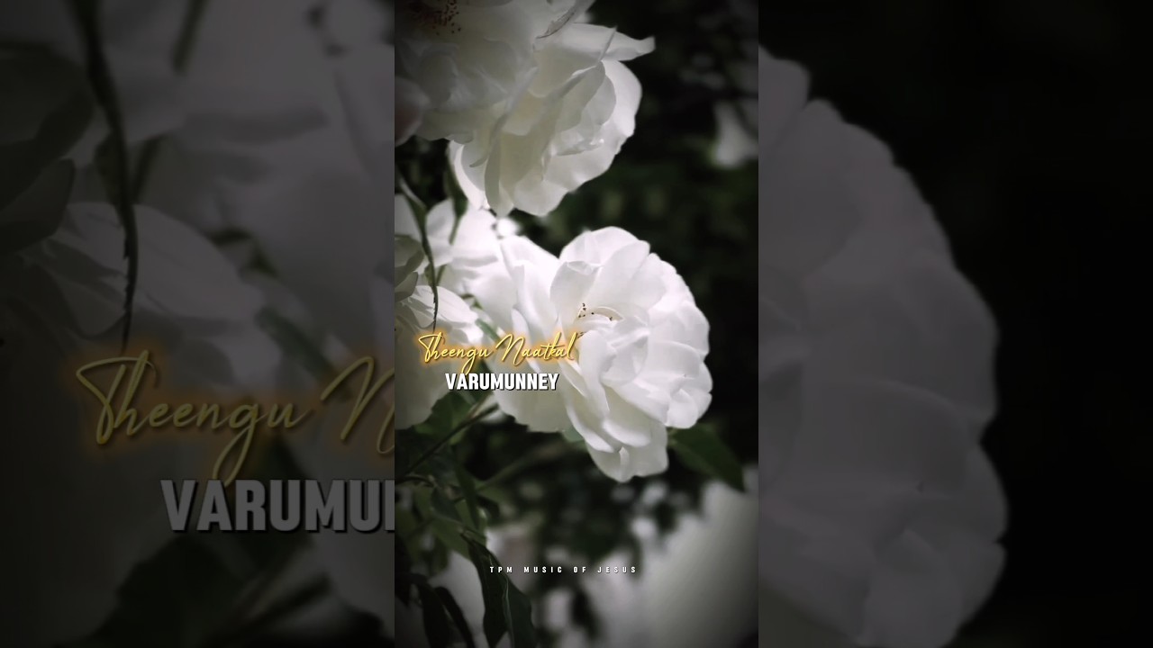 Theengu Naatkal varumunney tpm song | Tpm childrens convention 2025 Songs | 2025 songs | 