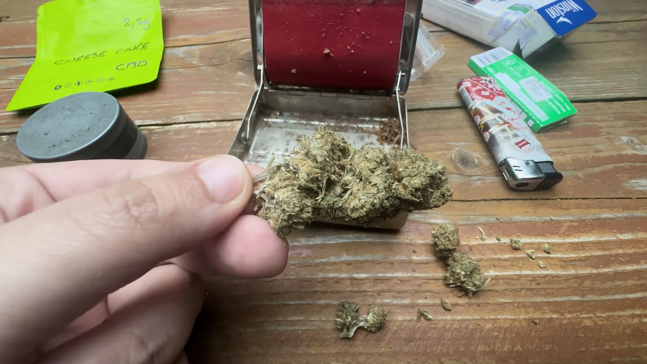 ッ Обзор Cheesecake CBD 🍰 [Indoor]
