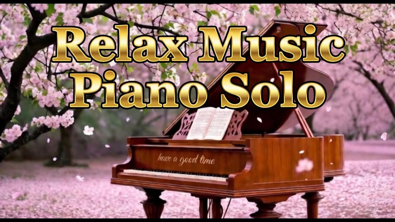 Relaxing Piano Music🎹 | Piano Solo Vol.13 | cozy coffee shop☕ vibe | for Studying,
