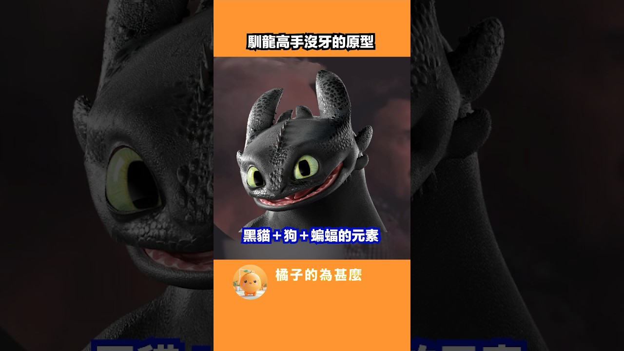 你想不到沒牙原型 #電影冷知識 #馴龍記 #無牙仔 #馴龍高手 #沒牙 #黑貓 #貓奴 #Toothless #冷知識 #千奇百趣 #有趣 #科普 #涨知识 #chrissanders #動畫 #萌寵