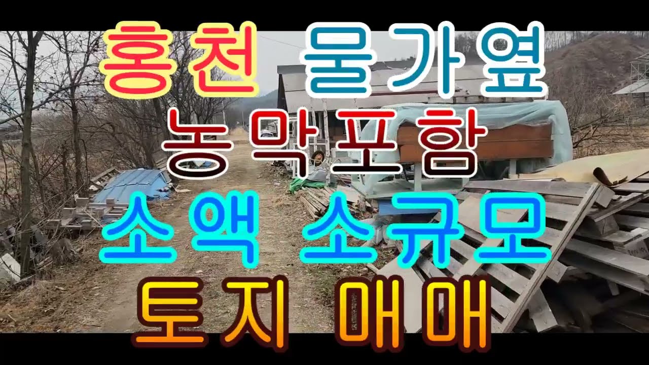 과실나무 가득한 홍천 주말 농장 매매 농막 창고 포함 3천만