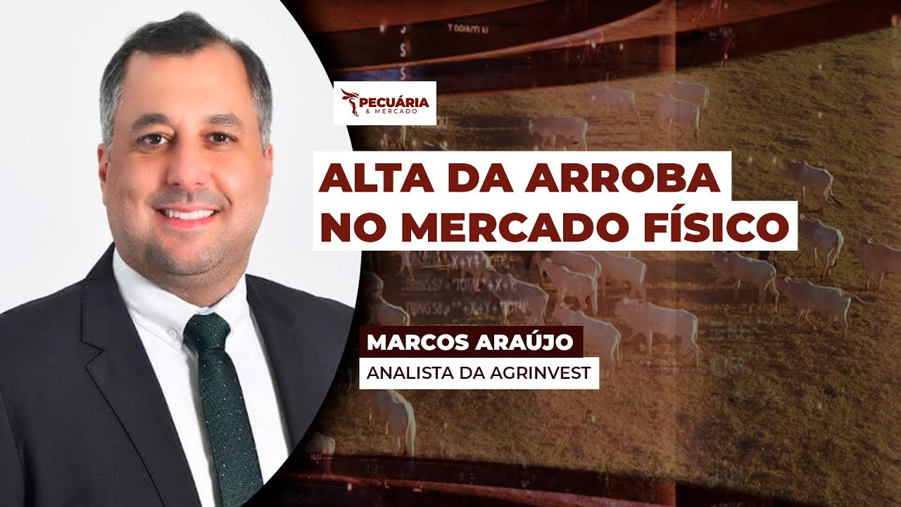 Movimento de alta da arroba do boi chega ao mercado físico com negócios de até R$330 em SP;...