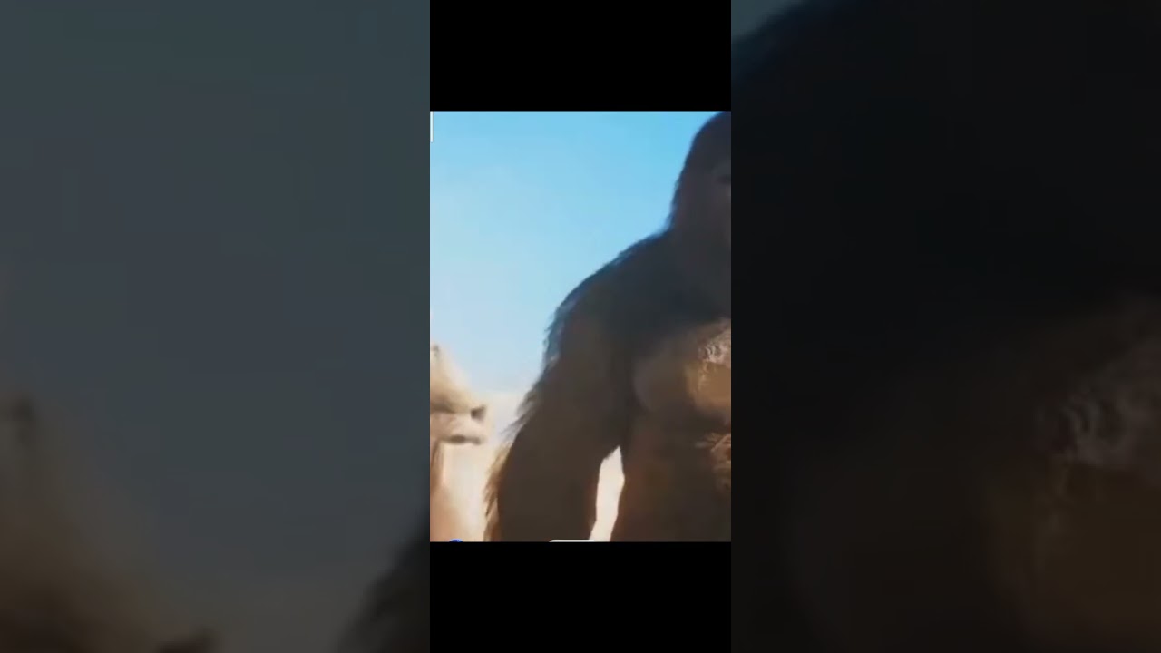 Godzilla x Kong dance rtx (song:closer by ne-yo)