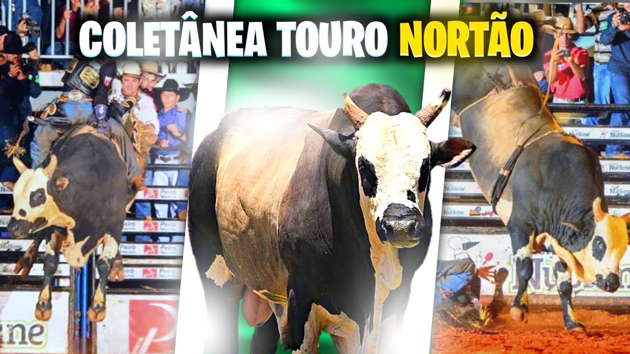 COLET&Acirc;NEA TOURO NORT&Atilde;O CIA TERCIO MIRANDA