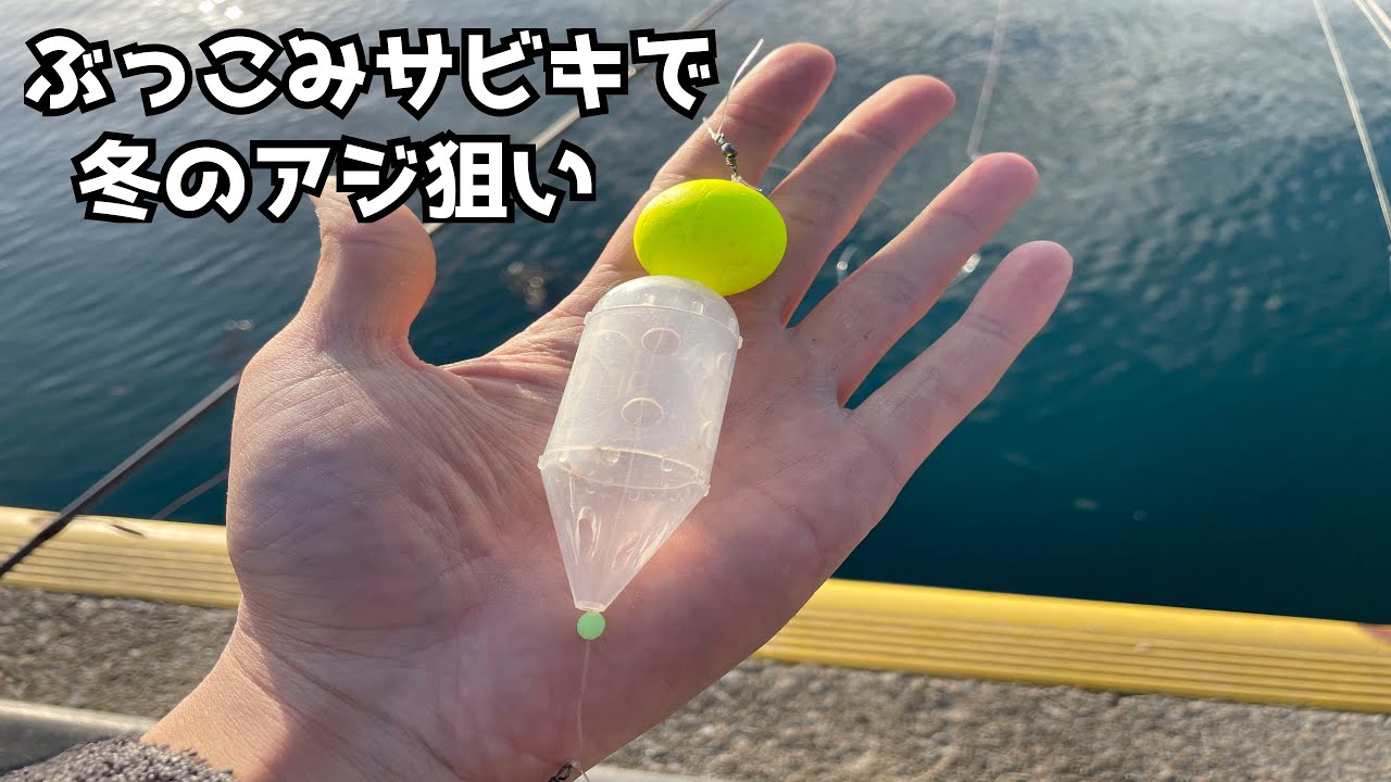 ぶっこみサビキで冬のアジ狙い