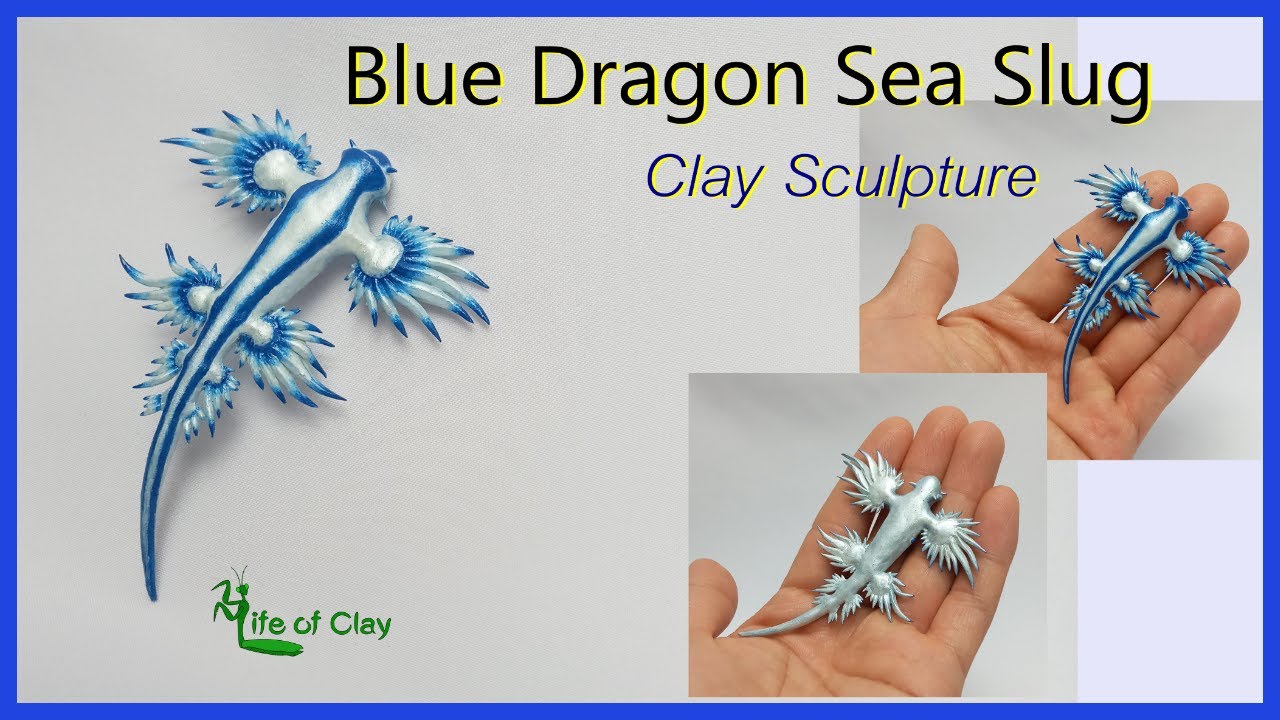 Sculpting Blue Dragon Sea Slug ( Glaucus atlanticus ) using polymer clay Life of Clay