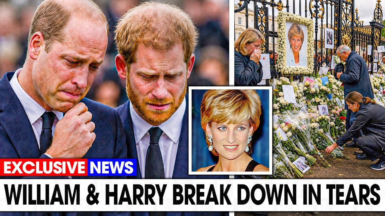 Diana's 65th Birthday &mdash; What William & Harry Just Did Left Britain In Tears