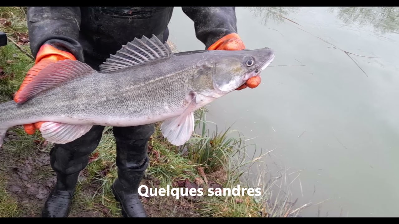 le gardon du bazois