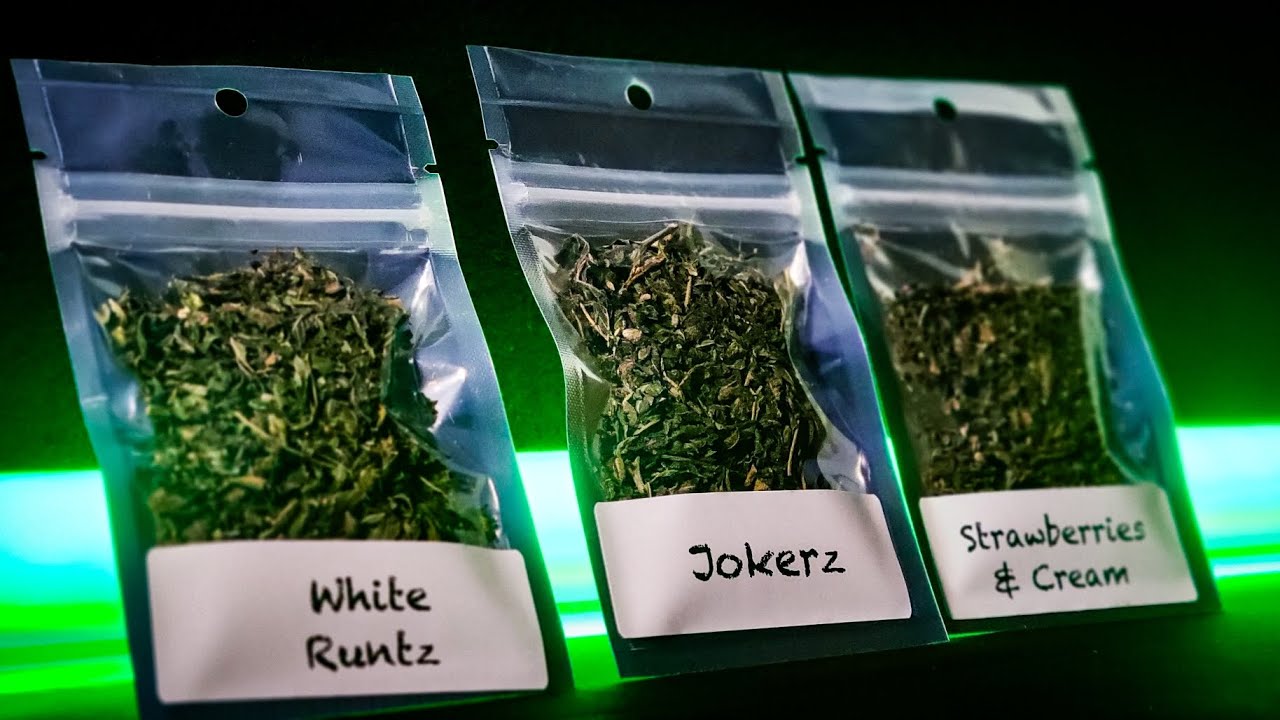 BENEFITS OF USING THCA SHAKE #Thca #shake #hemp #flower