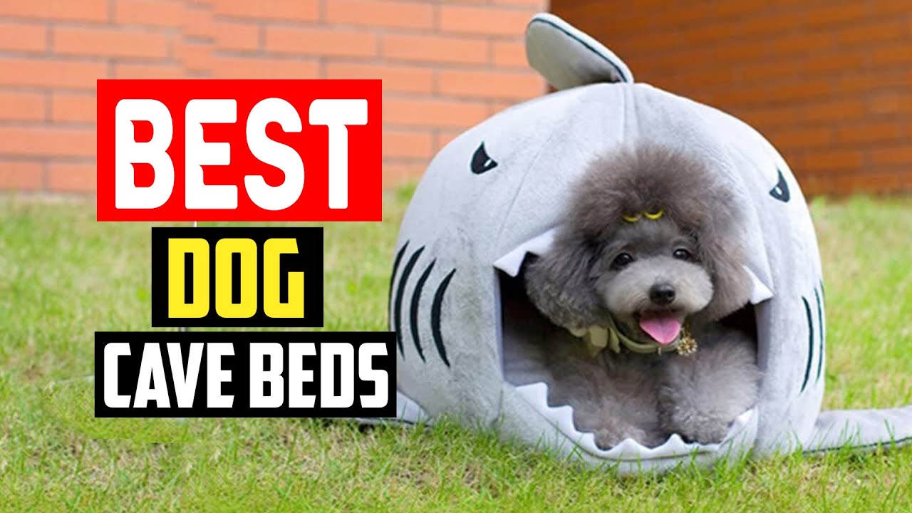 ✅Top 5 Best Dog Cave Beds in 2025