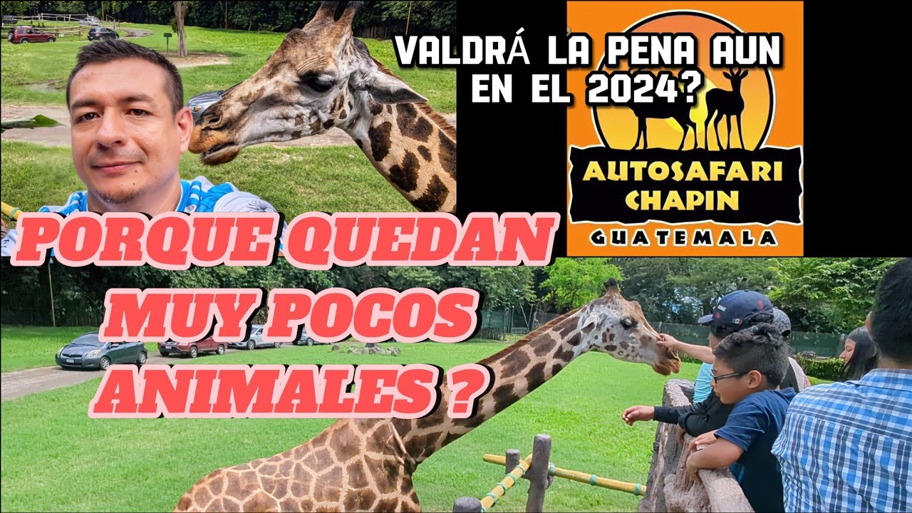 🦁 RECORRIDO COMPLETO del AUTO SAFARI CHAPIN 2024 🦜GUATEMALA 🇬🇹 VALE la PENA casi no hay ANIMALES?? 🤯