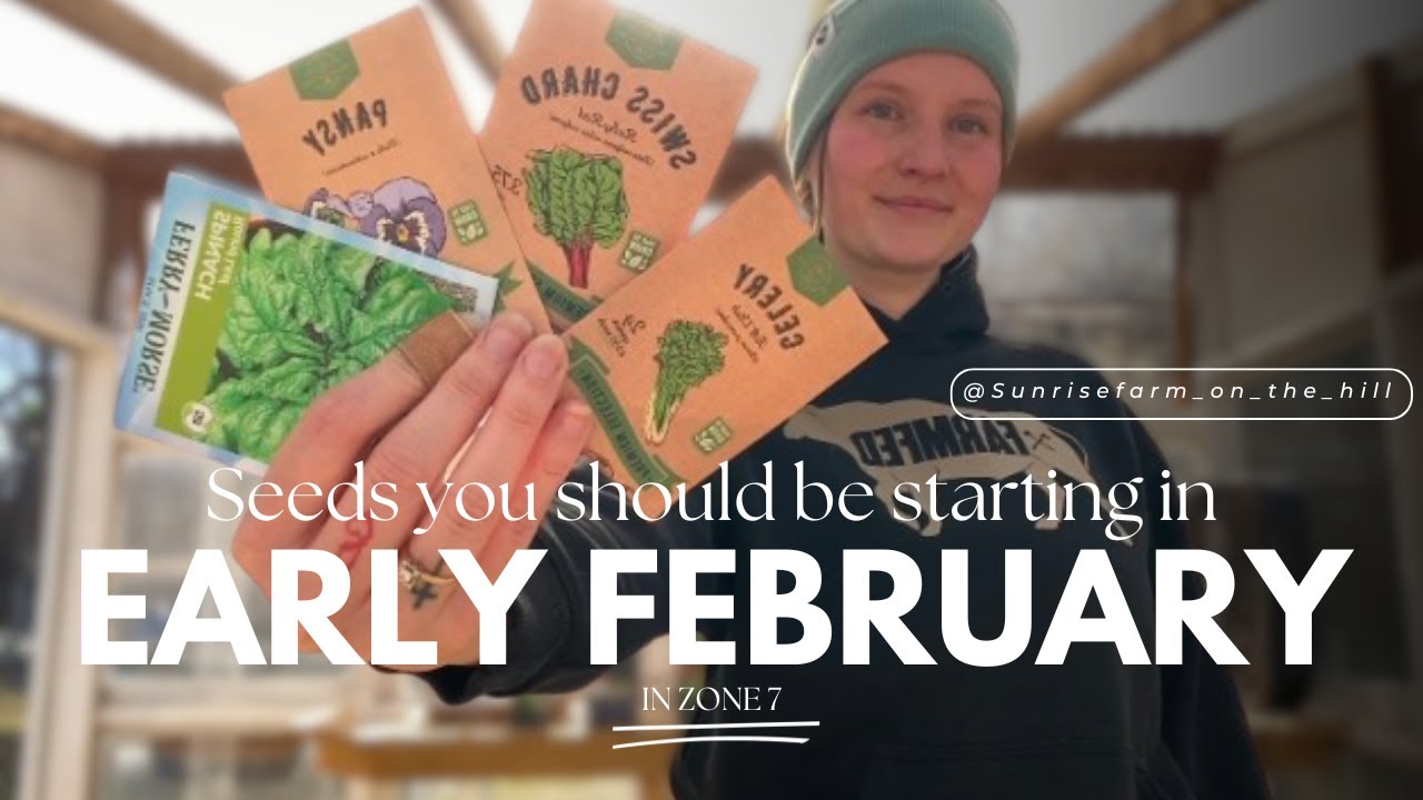 Seeds you could be starting in early February | Zone 7