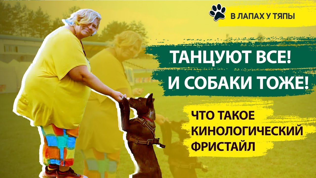 🐕‍🦺 Собачий спорт: Танцы с собаками / Кинологический фристайл | Необычные виды спорта