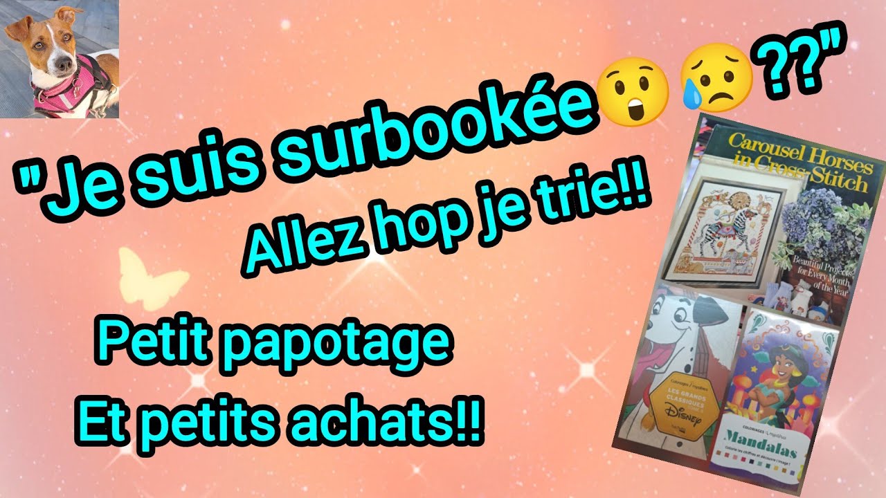 PAPOTAGE ET ACHATS DIVERS #papotage #achats #divers #plaisir #pourtous 