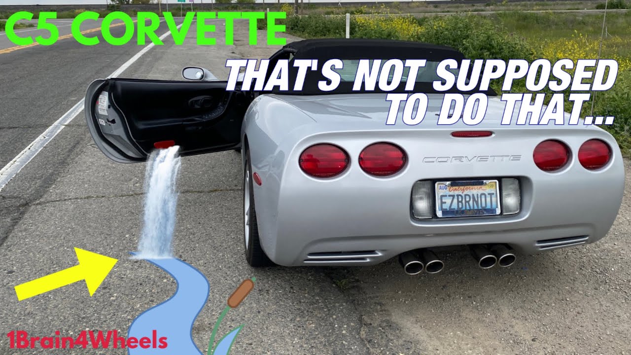 C5 Corvette Door Water Leak | Quick Fix!